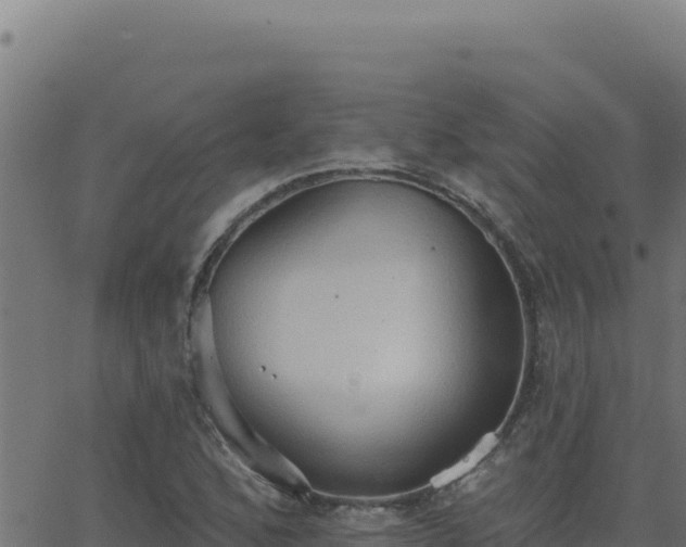 X0000062891168200601171506