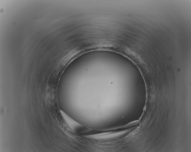 X0000062891169200601171506