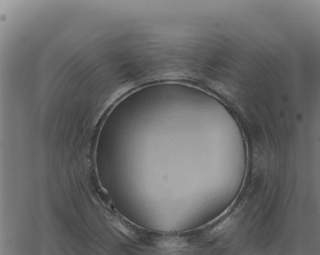 X0000062891170200601171506