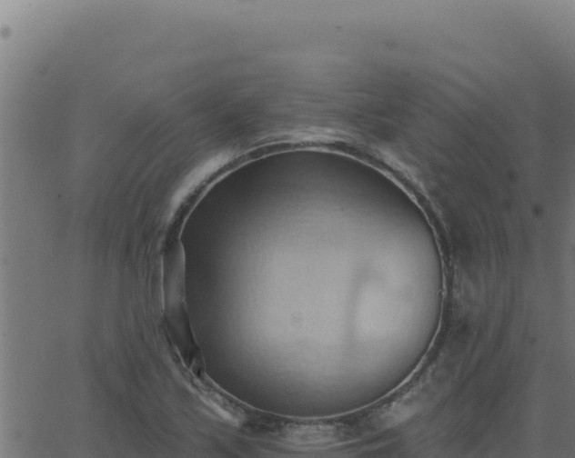 X0000062891171200601171506