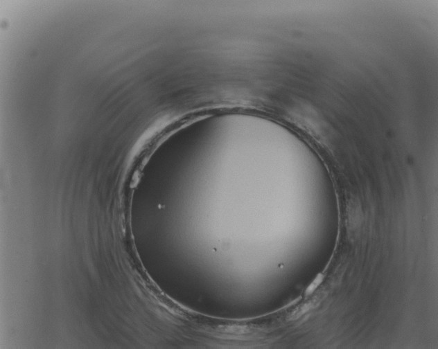 X0000062891172200601171506