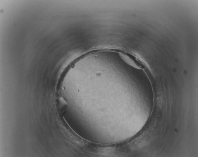 X0000062891173200601171506