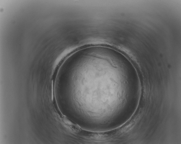 X0000062891175200601171506