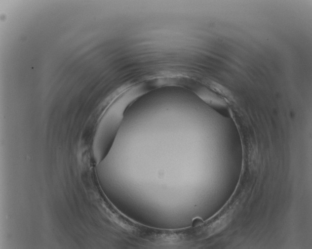 X0000062891177200601171506