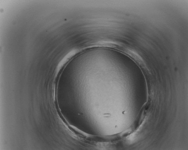 X0000062891180200601171506