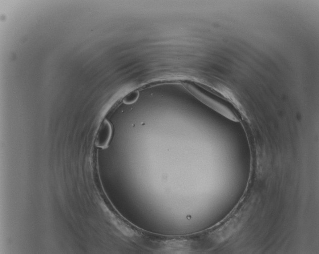 X0000062891181200601171506