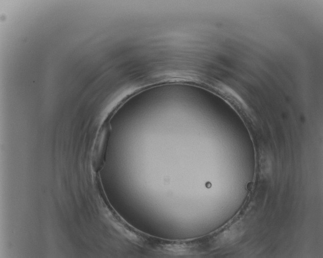 X0000062891182200601171506