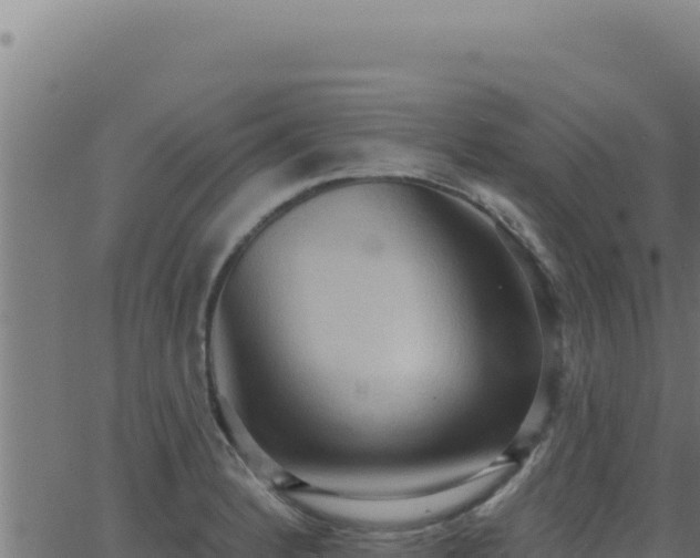 X0000062891184200601171505