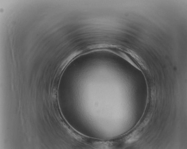 X0000062891185200601171505