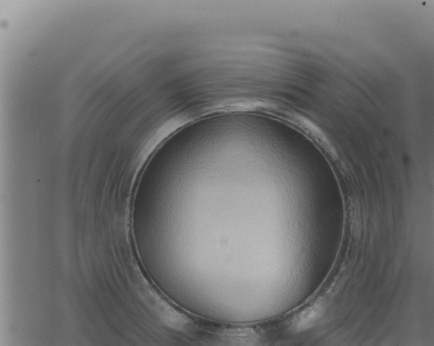 X0000062891186200601171505