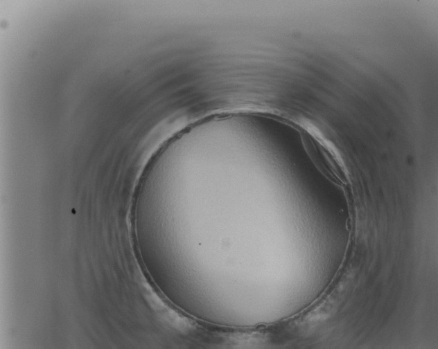 X0000062891189200601171505