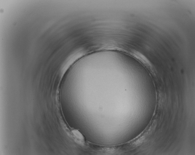 X0000062891190200601171505