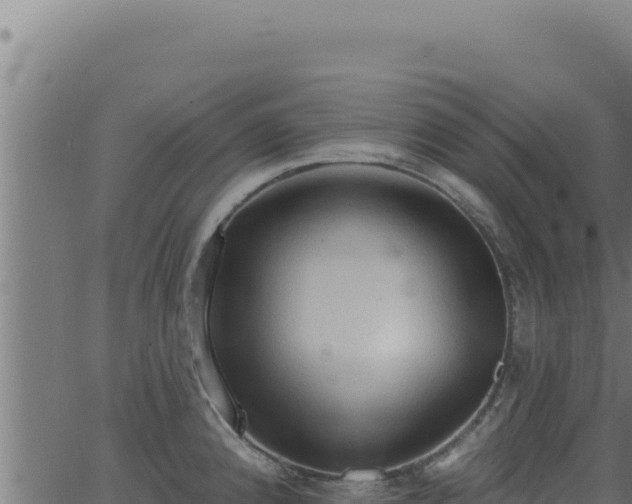 X0000062891192200601171505