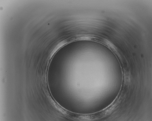 X0000062891194200601171505