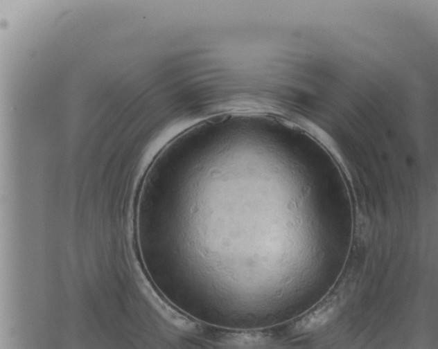 X0000062891195200601171505