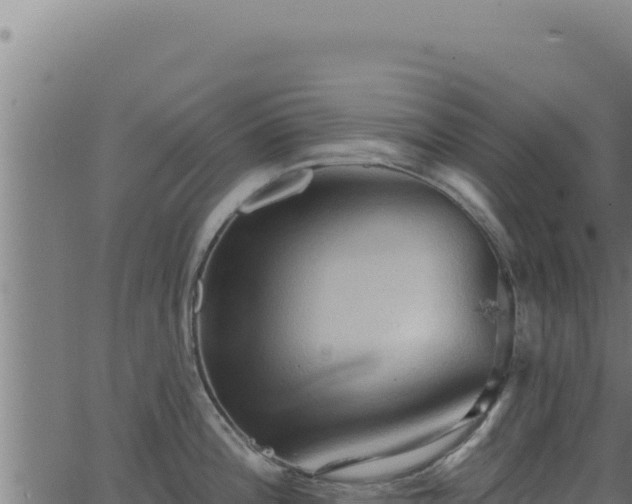 X0000062891196200601171505