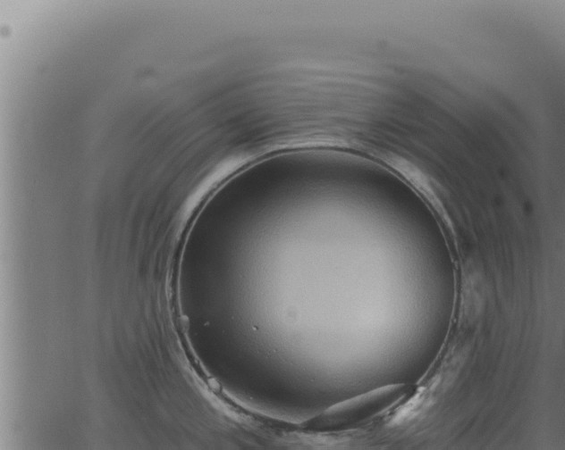 X0000062891197200601171505