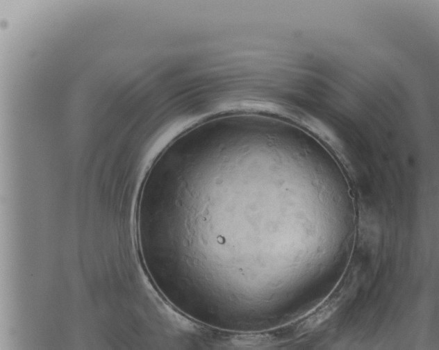 X0000062891199200601171505