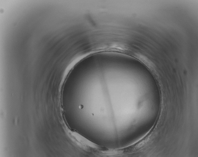 X0000062891200200601171505