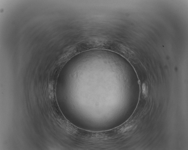 X0000062891203200601171504