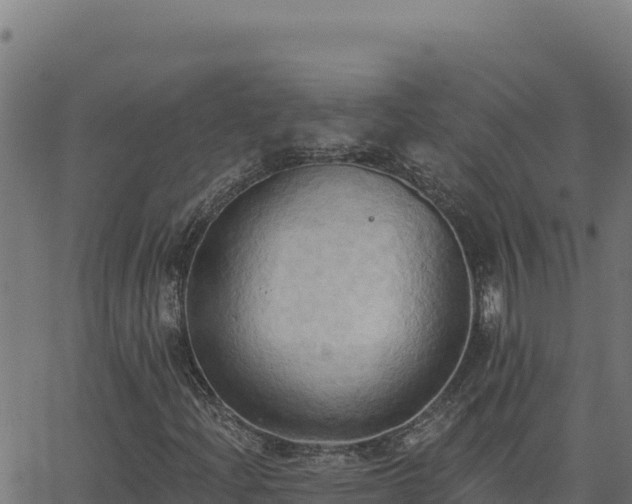 X0000062891204200601171504