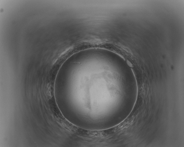 X0000062891205200601171504