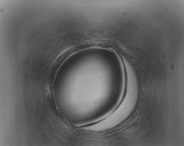 X0000062891206200601171504