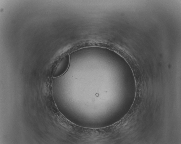 X0000062891207200601171504