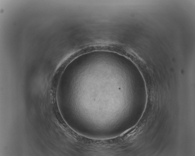 X0000062891208200601171504