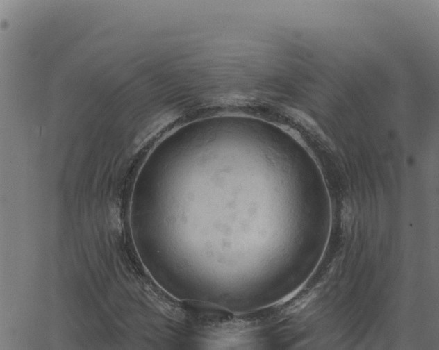 X0000062891209200601171504