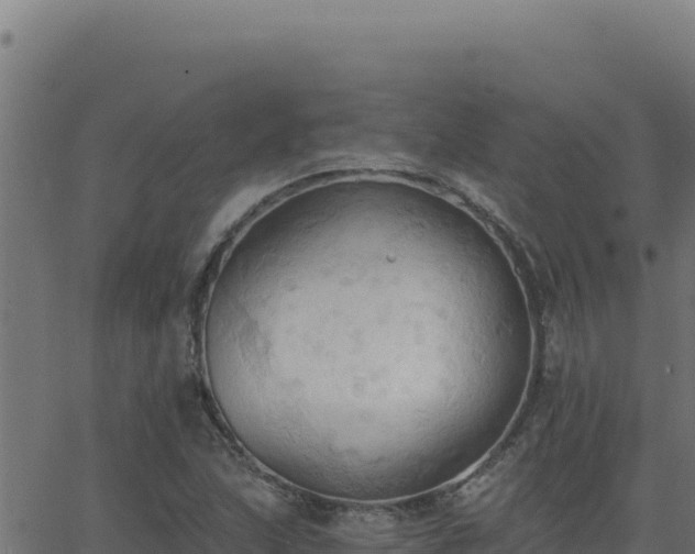 X0000062891215200601171505