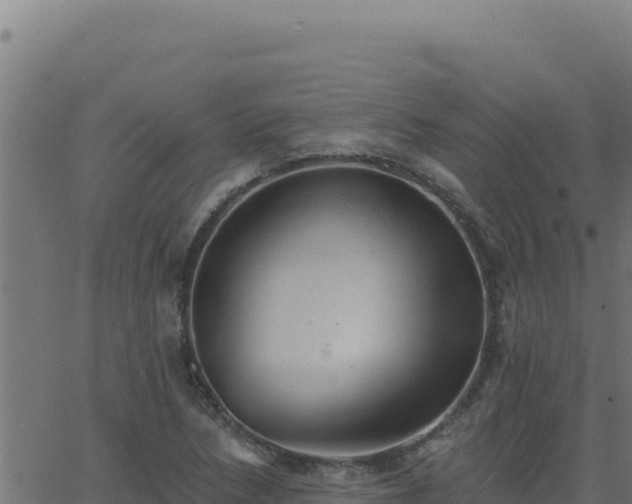 X0000062891218200601171505