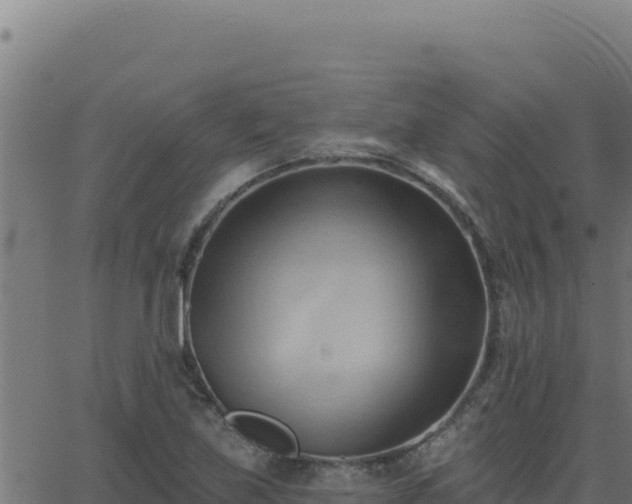 X0000062891219200601171505