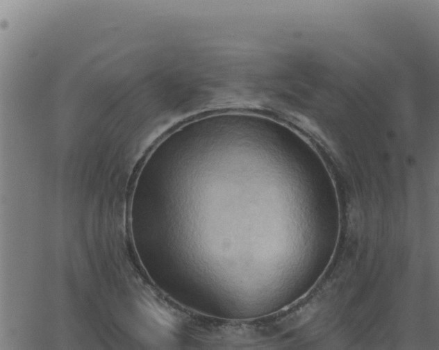 X0000062891220200601171505