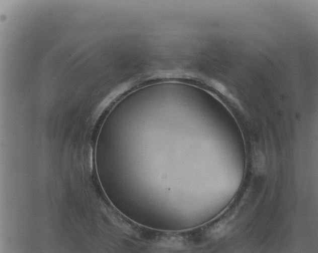 X0000062891221200601171505