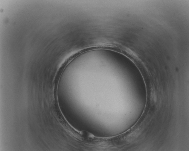 X0000062891222200601171505