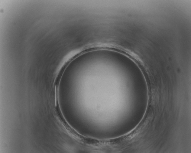 X0000062891223200601171505