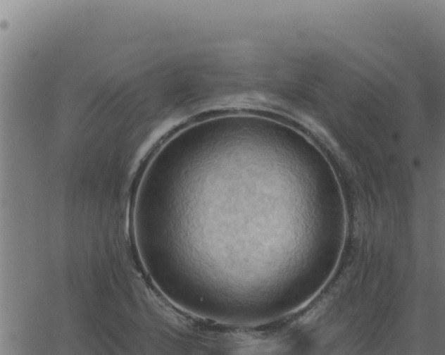 X0000062891224200601171505