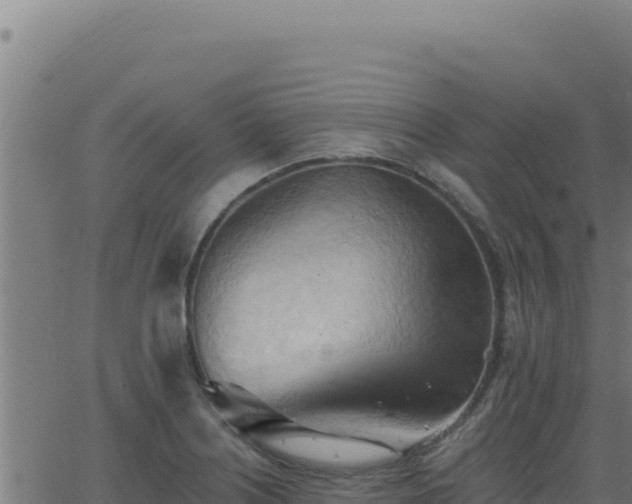 X0000062891226200601171505