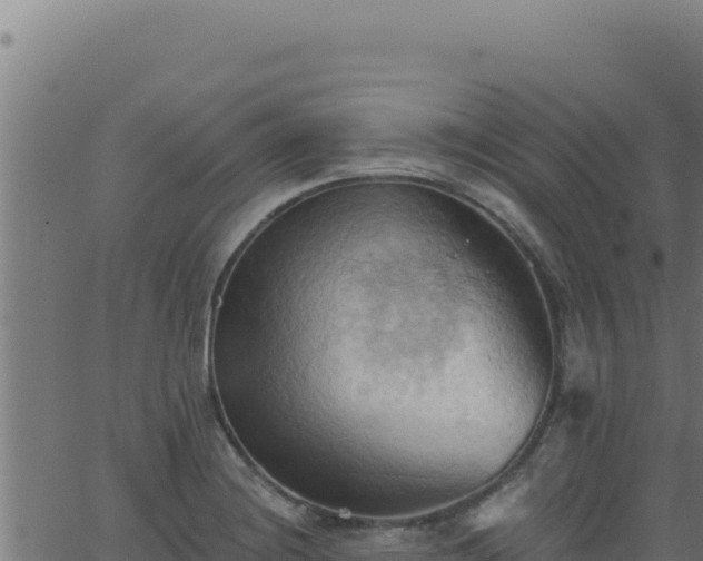 X0000062891228200601171505