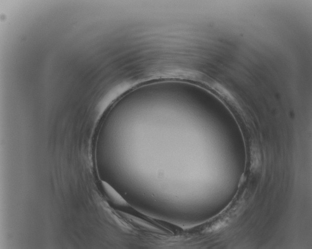 X0000062891230200601171505