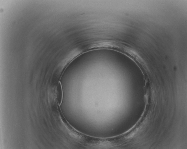 X0000062891233200601171505