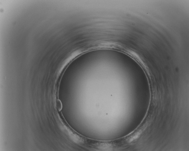 X0000062891235200601171505