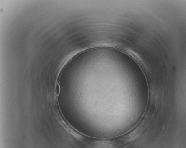 X0000062891236200601171505