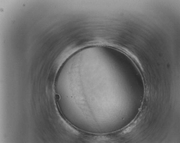 X0000062891239200601171505