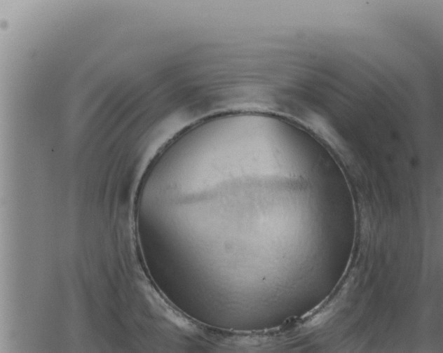 X0000062891240200601171505