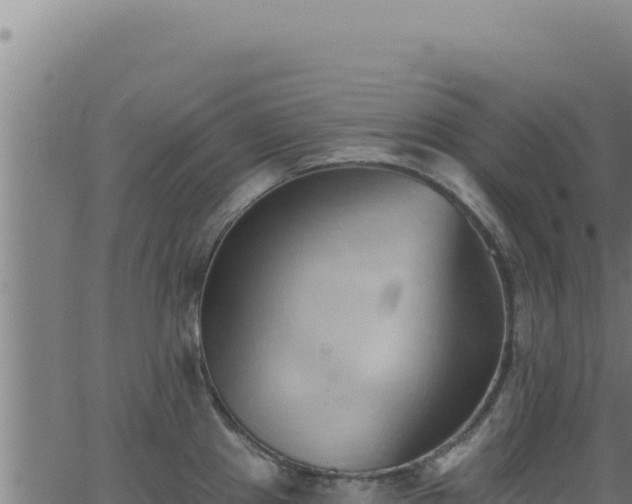 X0000062891241200601171505