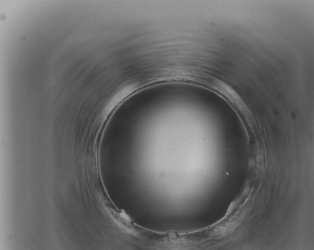 X0000062891242200601171505