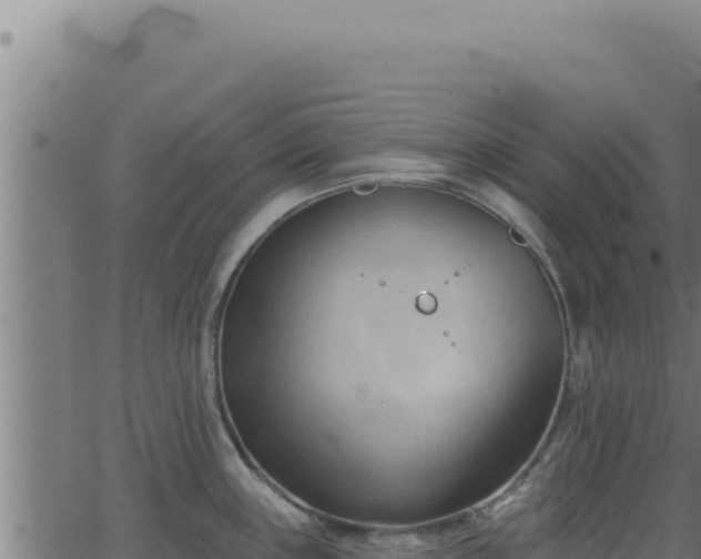 X0000062891243200601171505