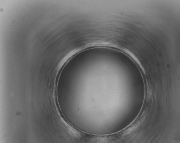 X0000062891245200601171505